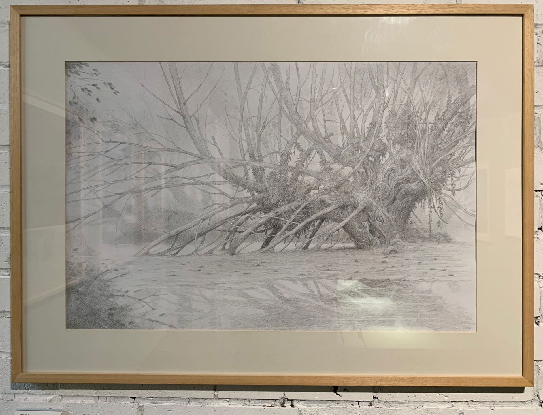 1566372048912741.jpg 92.jpg